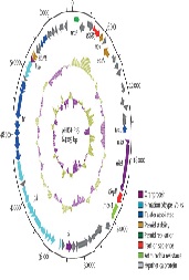 Microbial Resistance to Colistin in Consequence of Mutations in the MCR-1 Gene of Escherichia coli