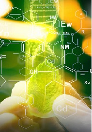 1, 3, 4-Thiadiazoles: An Overview