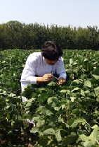 Climate Change Is Threat toward Agronomy (Base of Food, Fiber System), and Food Security