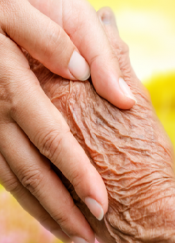 From Intervention Trial to Full-scale Implementation Research: Positive Tendencies for Frailty and Self-rated Health in Frail Older People