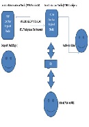 Our Experience with Rehabilitation of Cochlear Implant Surgery in Jos, North Central Nigeria