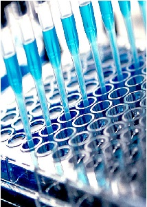A Prolegomena to Chemiluminescence Determination of Manganese in Water