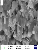 ZTA-SiCw Ceramic Modified by Pseudo Bohemite for Dental Brackets