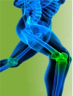 Real-World Observations from a First Season of the Rugby Union “Activate Programme” for Injury Risk Reduction in a U19 Men’s Team in North Carolina, USA