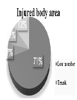 Injuries in Female 7-a-side Football Players in Cantabria, Spain: An Epidemiological Study