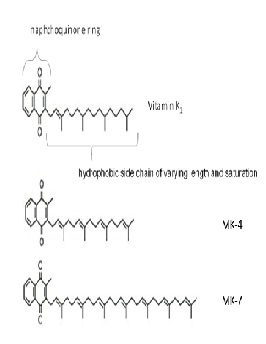 Vitamin K: Nutrition, Metabolism and Current Evidence from Clinical Trials