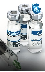 Control of Foot-and-Mouth Disease When Vaccines are Not Available