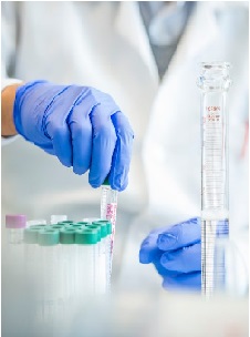 Molecular Docking of Short-Chain Glycosaminoglycan Ligands in 3D Model of Bovine Testicular Hyaluronidase