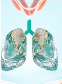 Health Care Professionals’ Knowledge Regarding Sexual Counseling of Post-MI Patients