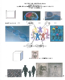 An Integronic Frame About the Interface(s) 