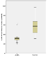 The Importance of Left Atrial Volume Assessment in Identifying the Cause of Ischemic Stroke