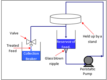 Evaluation of a Commercially Available Ion Exchange Membrane for Separation of Proteins from a Whey Protein Mixture: Modeling and Experimental Results