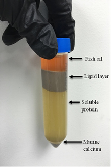 Effect of Moisture Reduction and Harvest Times on Quality of Salmon Processing By-products