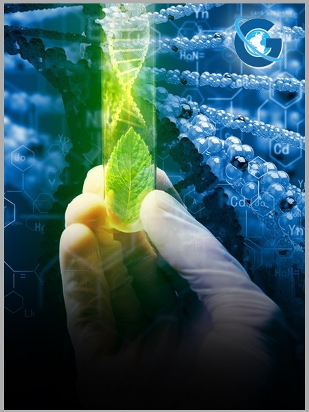 NMR-Observed Atomic Bond Length Stability Supports a Dimensionality Shift in Protein Main Chain 3D Structure Description and Representation