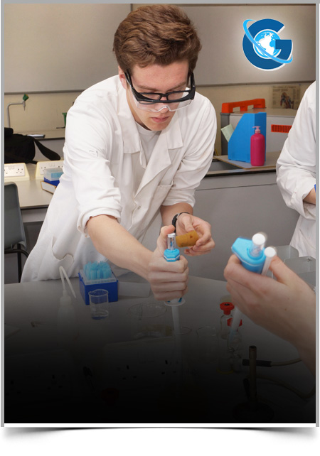 Auxin: Cytokinine Ratio May Determine Plant Stem Elongation