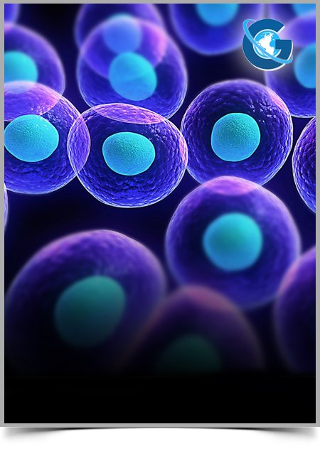Microwave Assisted Synthesis, Characterization and Antibacterial Studies of Some Biologically Potent Schiff Bases