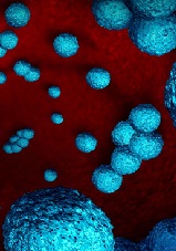 Prescription Claims According to Wellness Program Participation for an Insurance Company in the United States