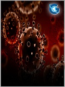 Report on The Outcomes of Two Cases After Surgical Resections of Rectal Neuroendocrine Carcinomas