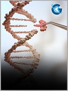 A Deadly Mistake in Treatment of Parkinson’s Disease