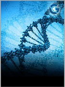 The Effects of Plant Density and Irrigation Management on Forage Yield and Physiological Traits of Kochia, Quinoa and Forage Sorghum in GolestanProvince