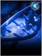 Glymphatic Efficiency is a Critical Factor for Using Abnormal Tau in Peripheral Tissues as Biomarker for Alzheimer’s Disease