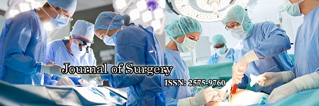 Migrated Dual Meshes Causing Fluid Collections Due to Folding Over on itself: A Rare Complication of Laparoscopic Hernia Repair