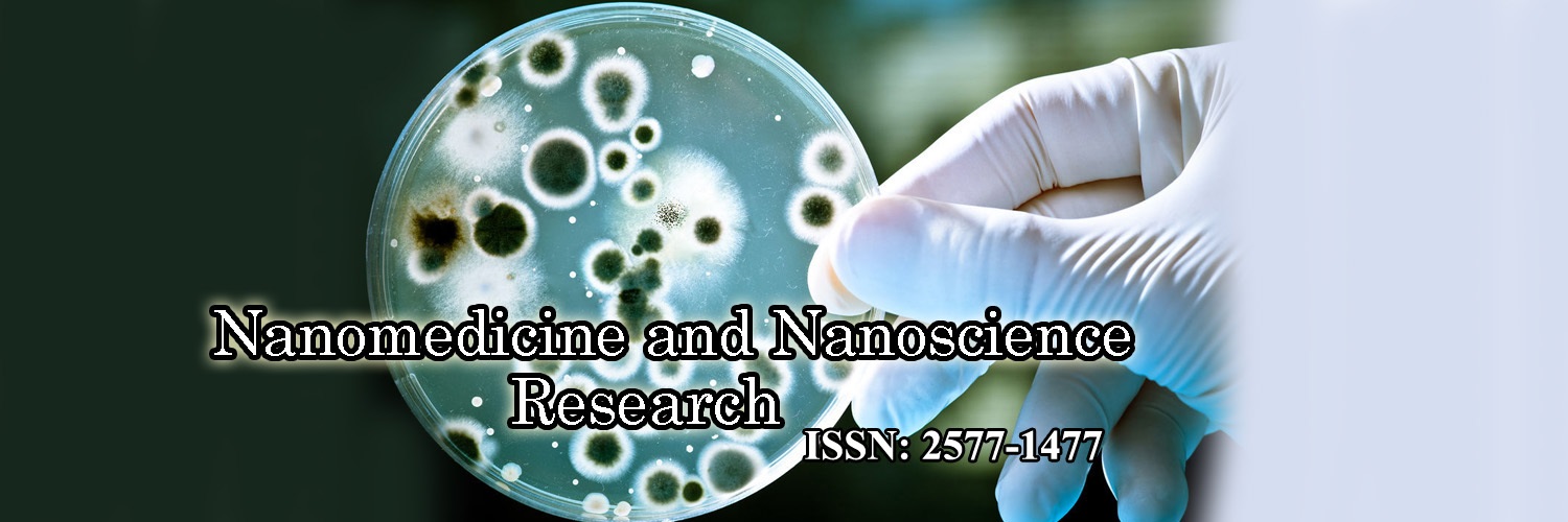 New Generation of Photosensitizers: The Conjugate of Folic Acid with Nanoparticles and Chlorine E6
