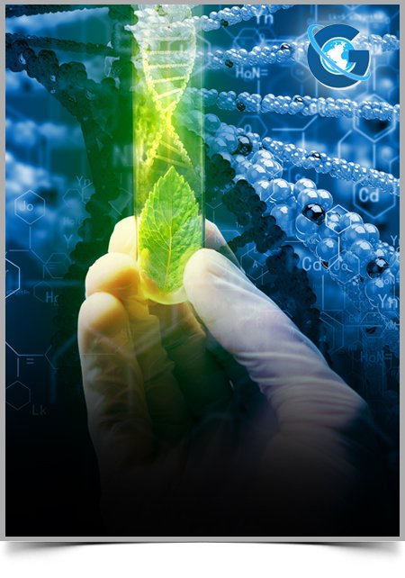 Experience of Students Taking Hybrid General Organic and Chemistry Course at A Community College