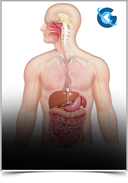 Endoscopic Vacuum Therapy in the Repair of Upper GI Perforations and Leaks: A Case Series