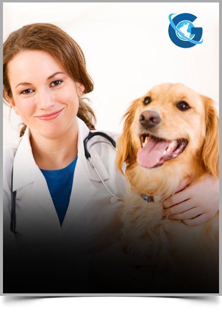 Impact of Water Pollution onMugilidaeFish in Algeria