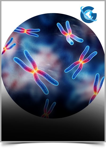Cytokines as Effective Elements of the Avian Immune System