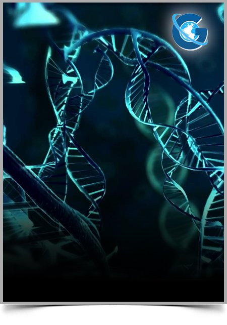 Aptamer-SiRNA Technology Provides a Simple Platform for Cancer Combination Treatment