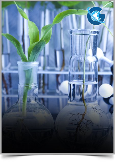 Formaldehyde Exposure in the European Mineral Fibre Manufacturing Industry