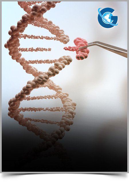Association of Intake of Dietary Vitamin C and Vegetables with Non-Alcoholic Fatty Liver Disease (NAFLD) In Middle-Aged Japanese Men