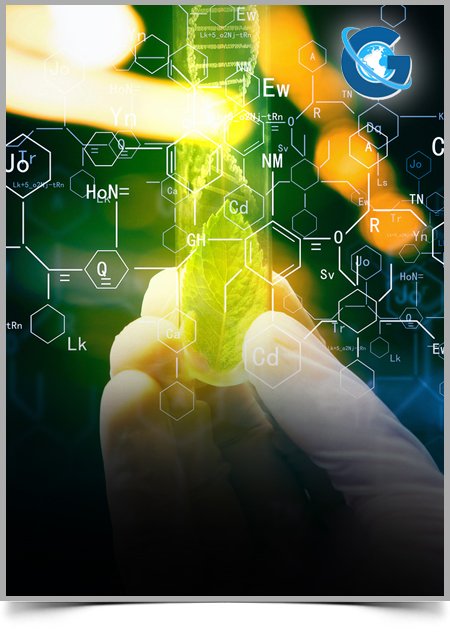 Microbial Degradation of Chlorinated Solvents: A Microcosm Study and a Microbial Genetic Analysis to Remediate a Contaminated Area in Central Italy