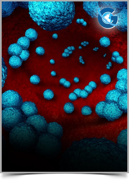 Using Ecosystem Approach to Address Infection with Leishmania Major in Central Tunisia