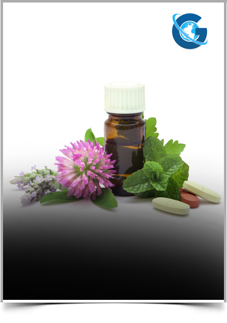 Phyto and Zootherapeutic Practices of a Marma Tribal Healer in Bandarban District, Bangladesh