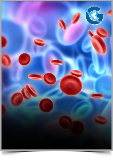 Toxicities and Long Term Survival After Autologous Hematopoietic Stem Cell Transplantation for Older Patients with Relapsed/Refractory Hodgkin Lymphoma