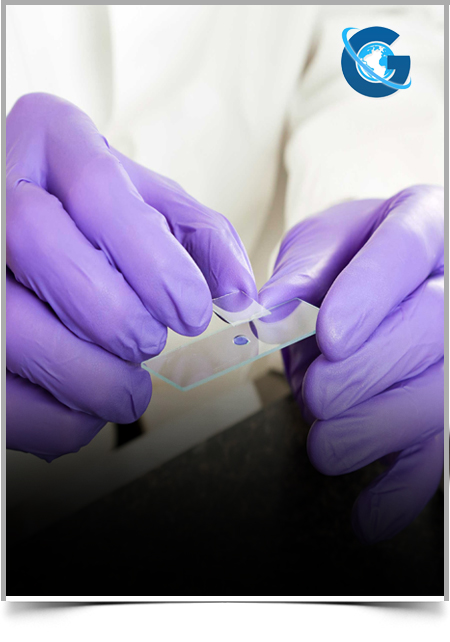 Branchial Cleft Cyst or Tubercular Lymphadenitis: A Case Report of a Medical Masquerade 