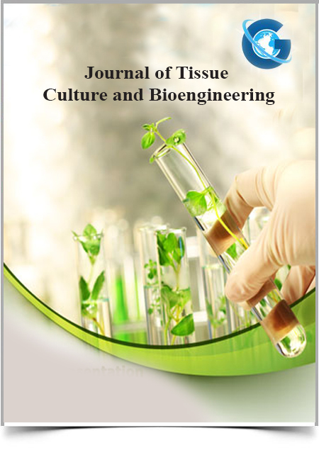 Synthesis, Biological and in silico Analysis of Silver Nanoparticles Isolated from Ethanolic Extract of Filamentous Algae Cladophora glomerata