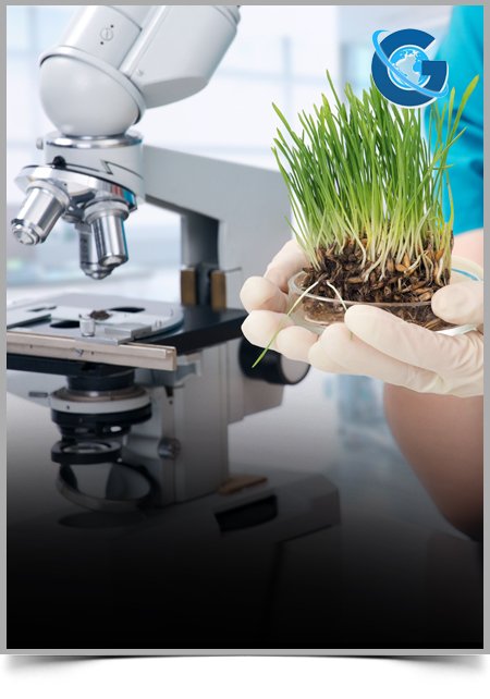 A Cross Sectional Study of Association between Hemoglobin Levels and the BMI Indices among the Adolescents Sunni Muslim Population in Lucknow City, India