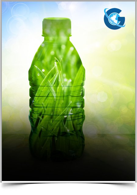 Cycles of Nitric Oxide (NO), Superoxide Radical Anion (• O2 - ) and Hydrogen Sulfur/Sulfur Dioxide (H2 S/SO2 ) in Mammals