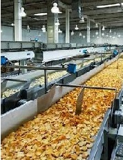 Production and Quality Assessment of Local Condiment ‘Ogiri’ from Watermelon Seed (Citrullus lanatus) and Melon (Citrullus vulgaris)