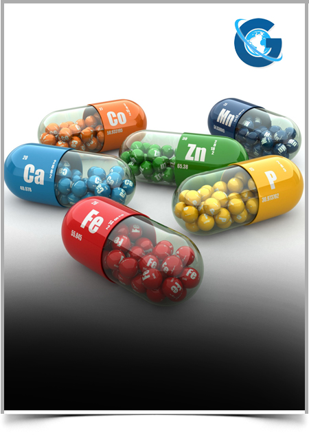 The Pharmacokinetics of Orally Administered Calcium Pantothenate in Healthy Adults