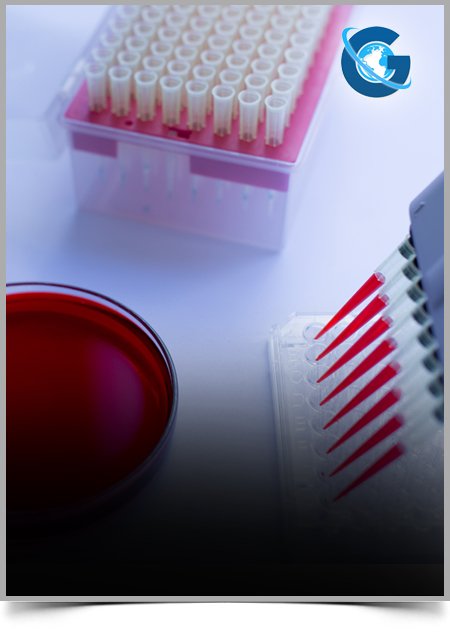 Progress in the Study of Sterol Regulatory Element Binding Protein 1 Signal Pathway