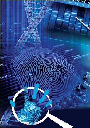 Applying and Interpreting the Standard Error of Measurement and Standard Error of the Estimate in Intelligence Testing