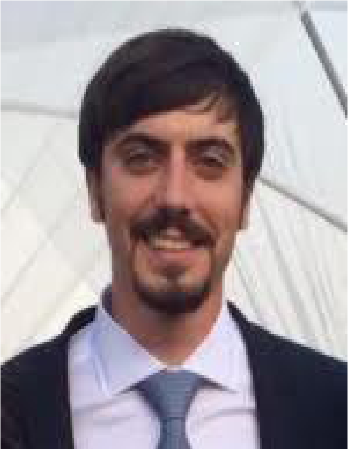 Guglielmo Niccolo Piozzi