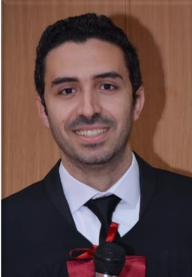 Mohammad Abdelhamid Moheyeldin Ahmed