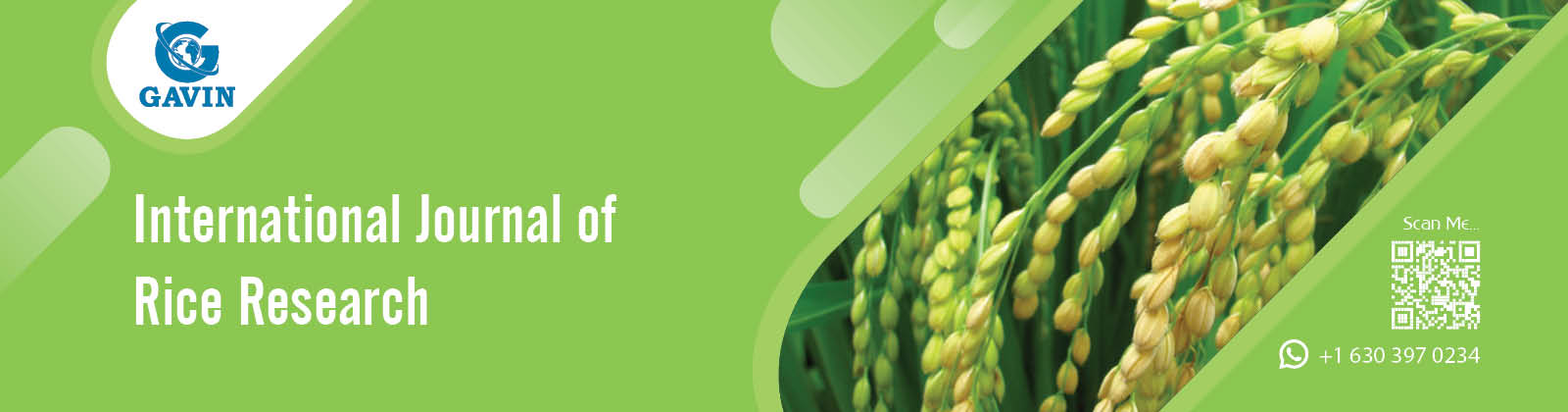 International Journal of Rice Research