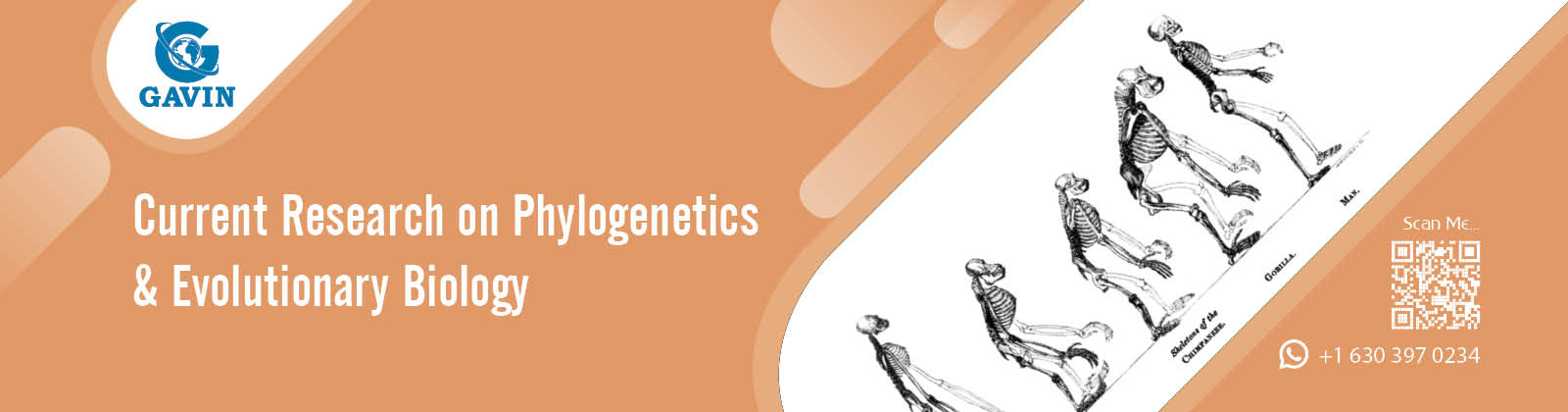 Current Research on Phylogenetics & Evolutionary Biology